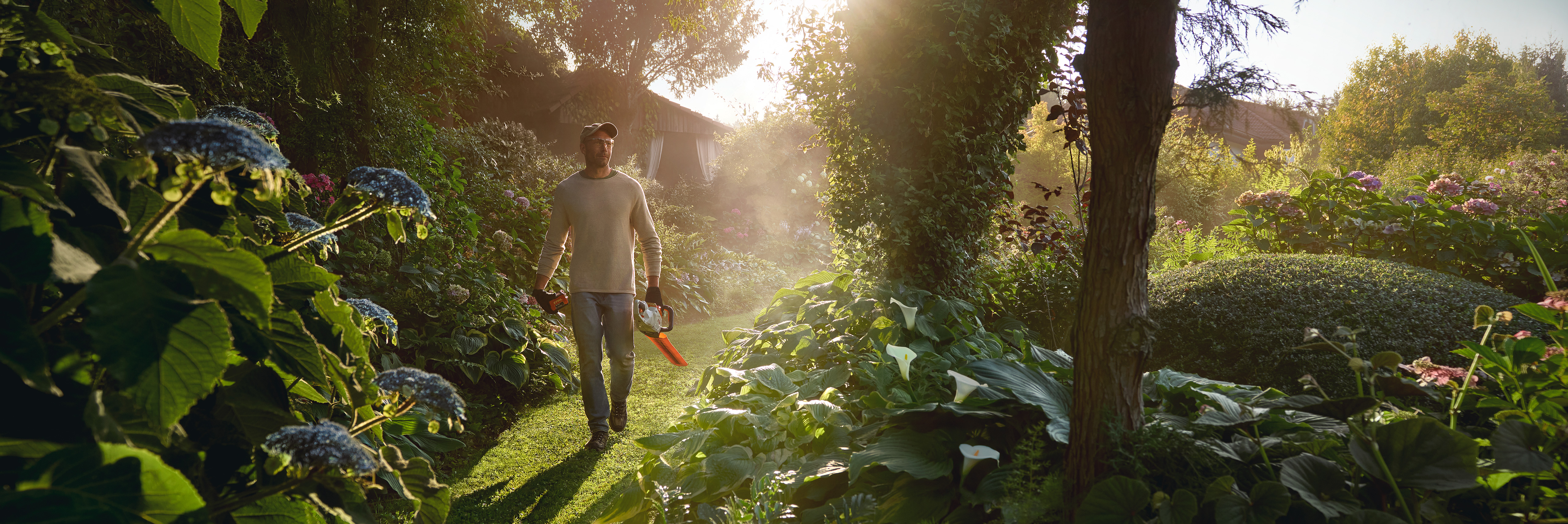 Mann, der einen sonnigen, üppig grünen Gartenweg zwischen großen blauen Hortensiensträuchern und anderen blühenden Pflanzen entlanggeht und eine grau-orangefarbene STIHL Heckenschere trägt. Im Hintergrund ist durch die Bäume ein kleiner Holzschuppen zu erkennen.